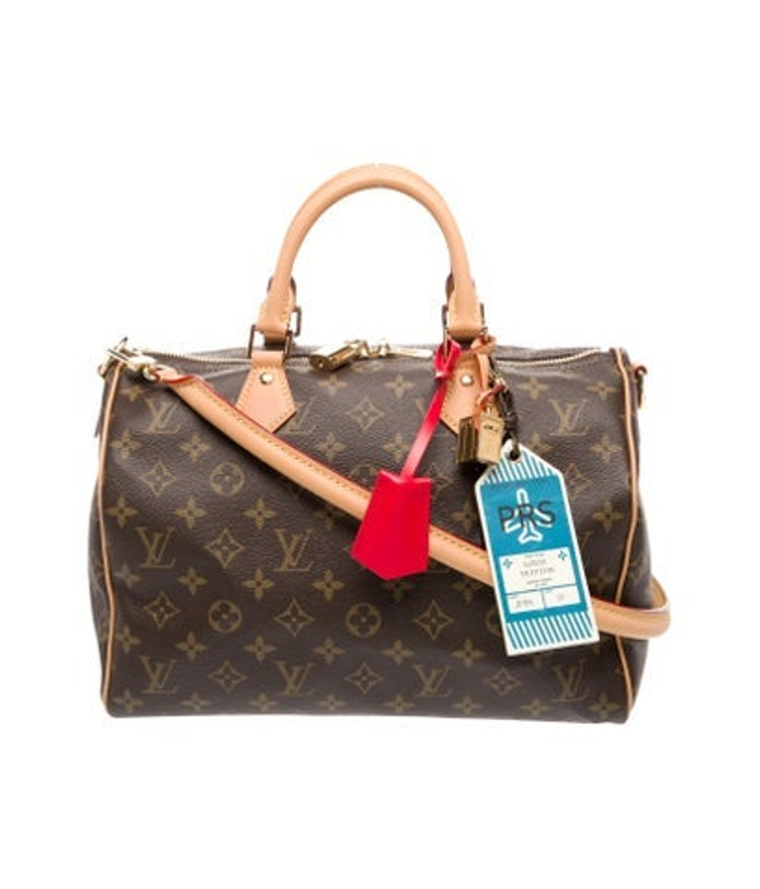 Louis Vuitton Vuitton Lv Monogram Speedy Soft Crafty 30