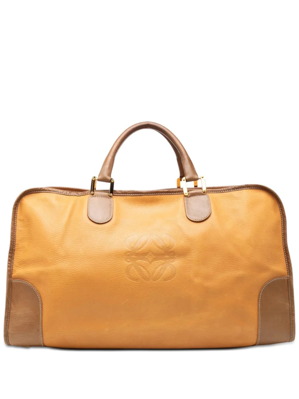 2000-2026 Bicolor Leather Amazona 50 travel bag