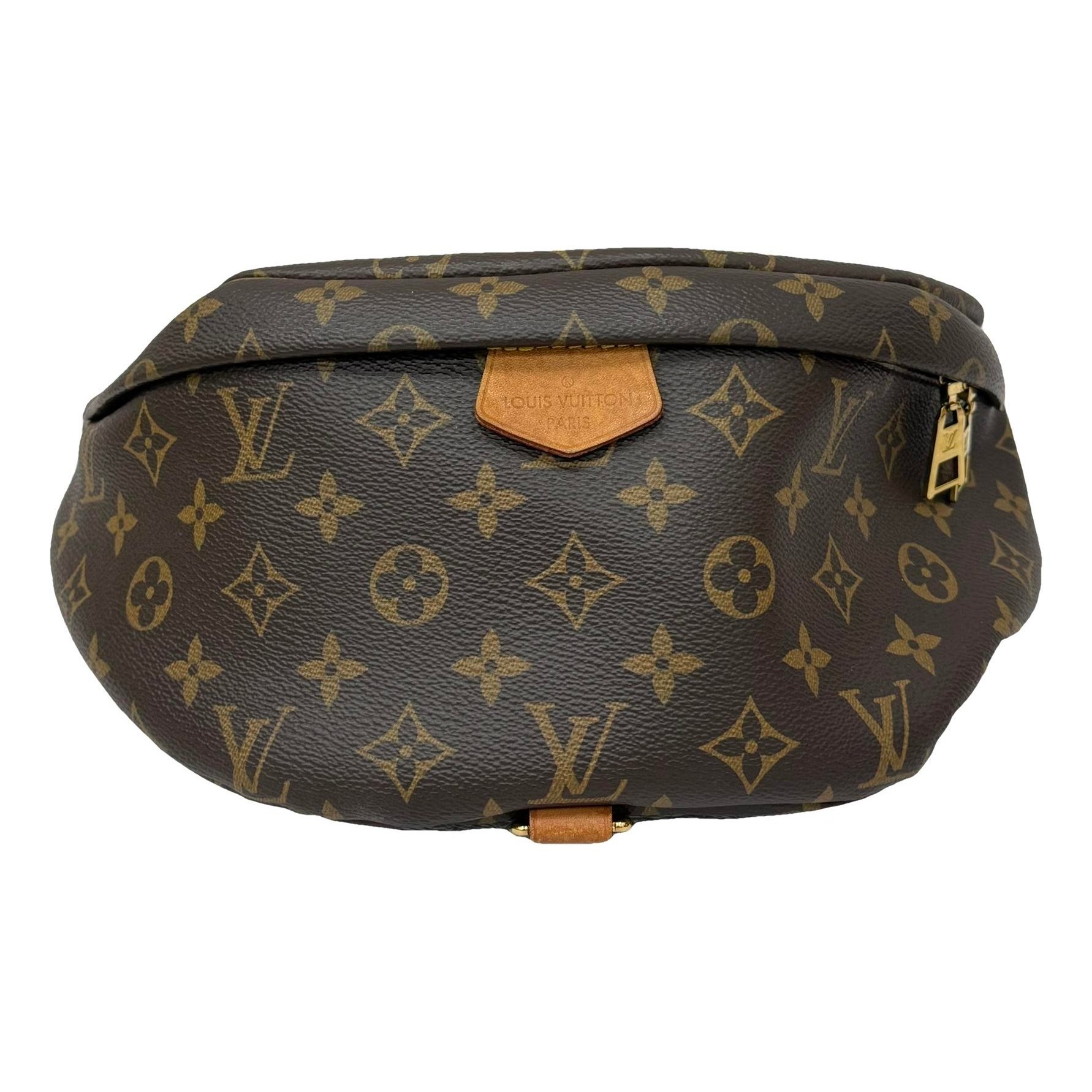 Bum Bag / Sac Ceinture leather handbag