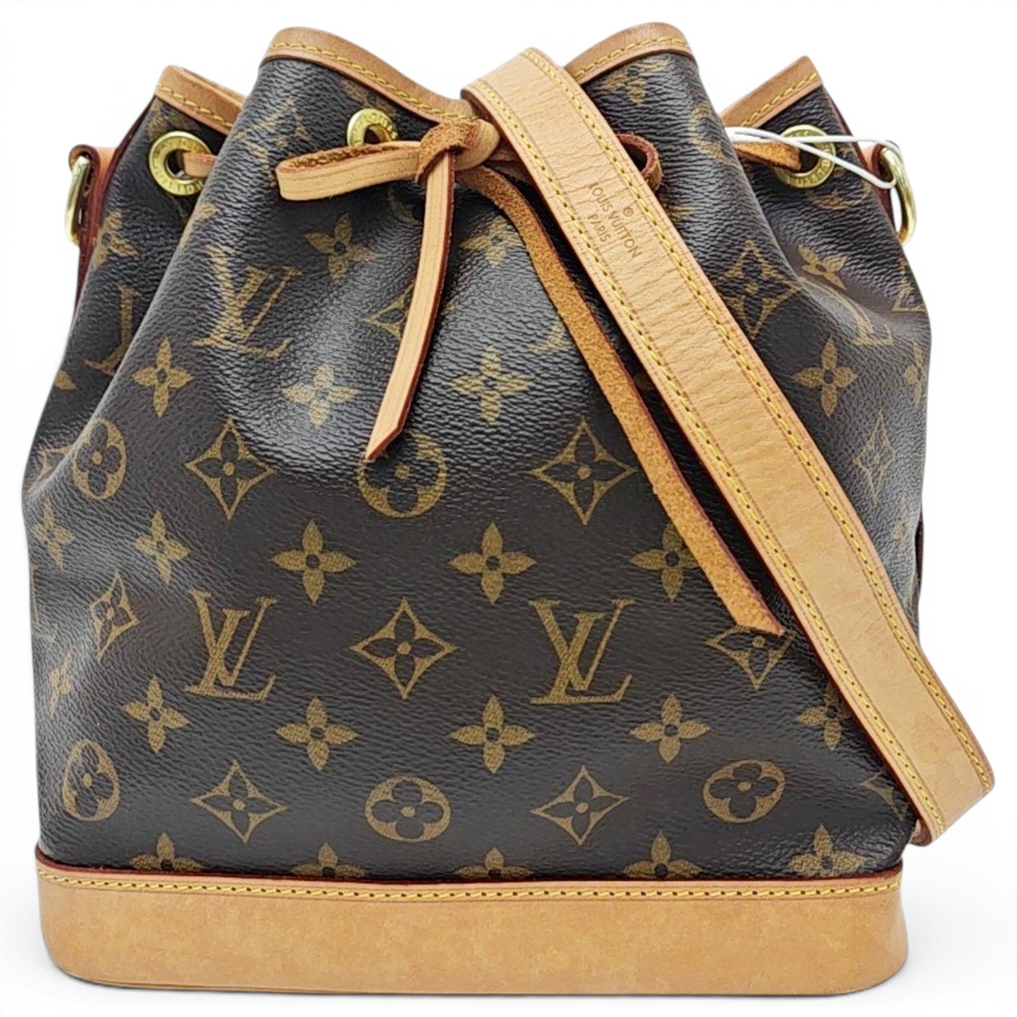 Nano Noé leather handbag