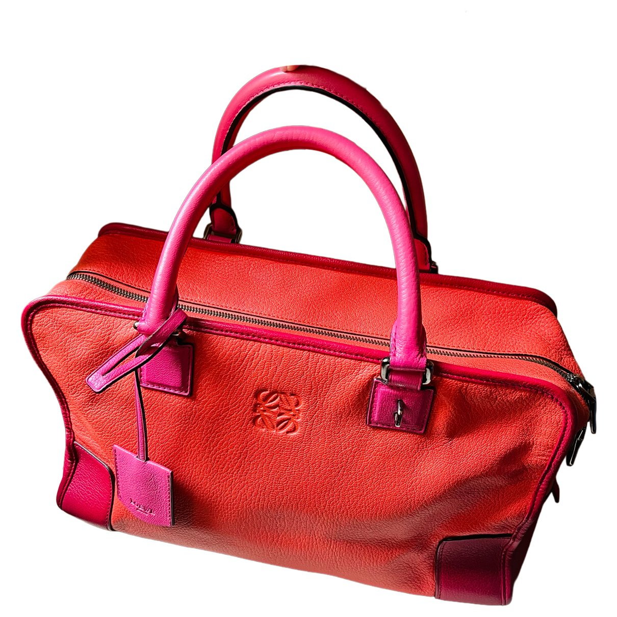 Amazona leather handbag