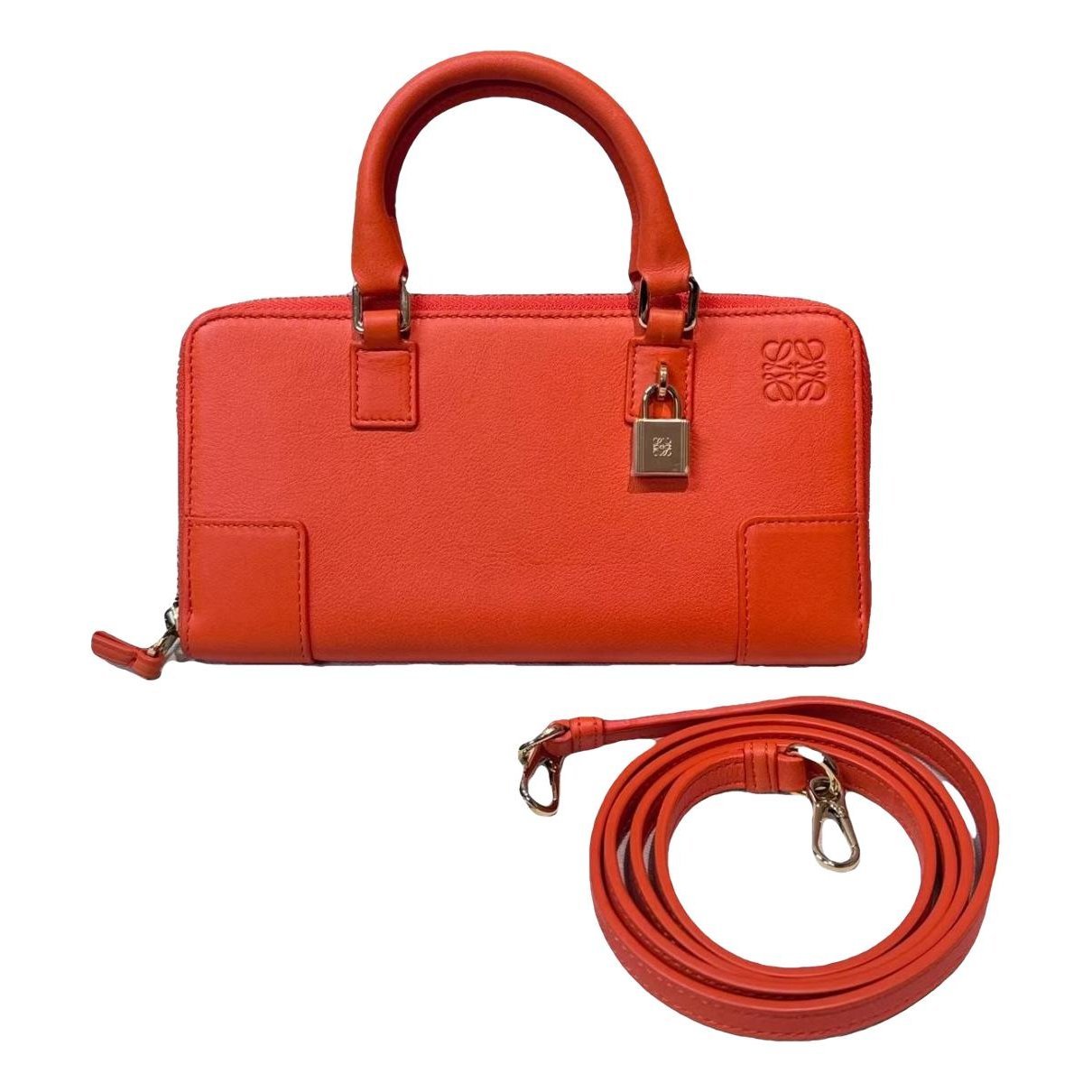 Amazona leather handbag