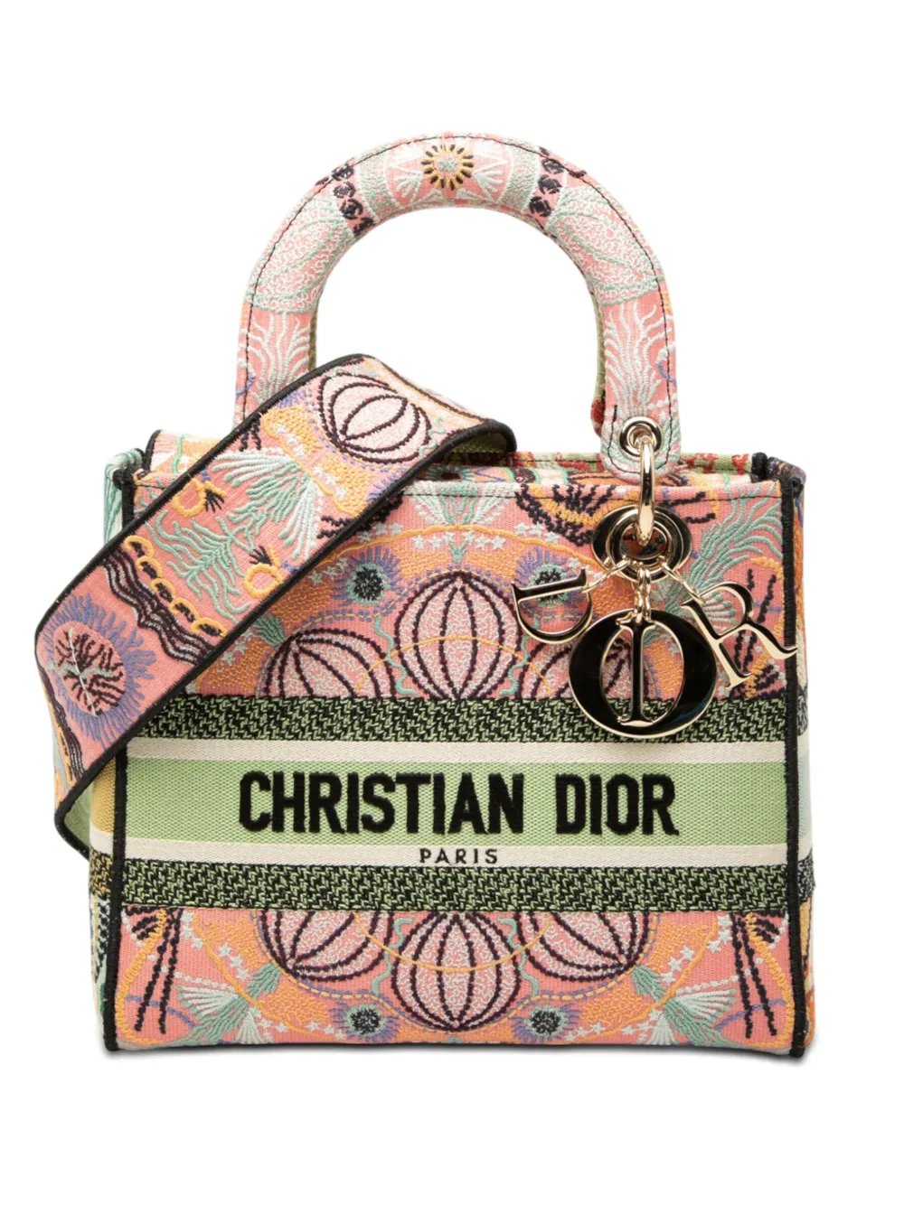 2020 Medium Embroidered Canvas In Lights Lady D Lite satchel