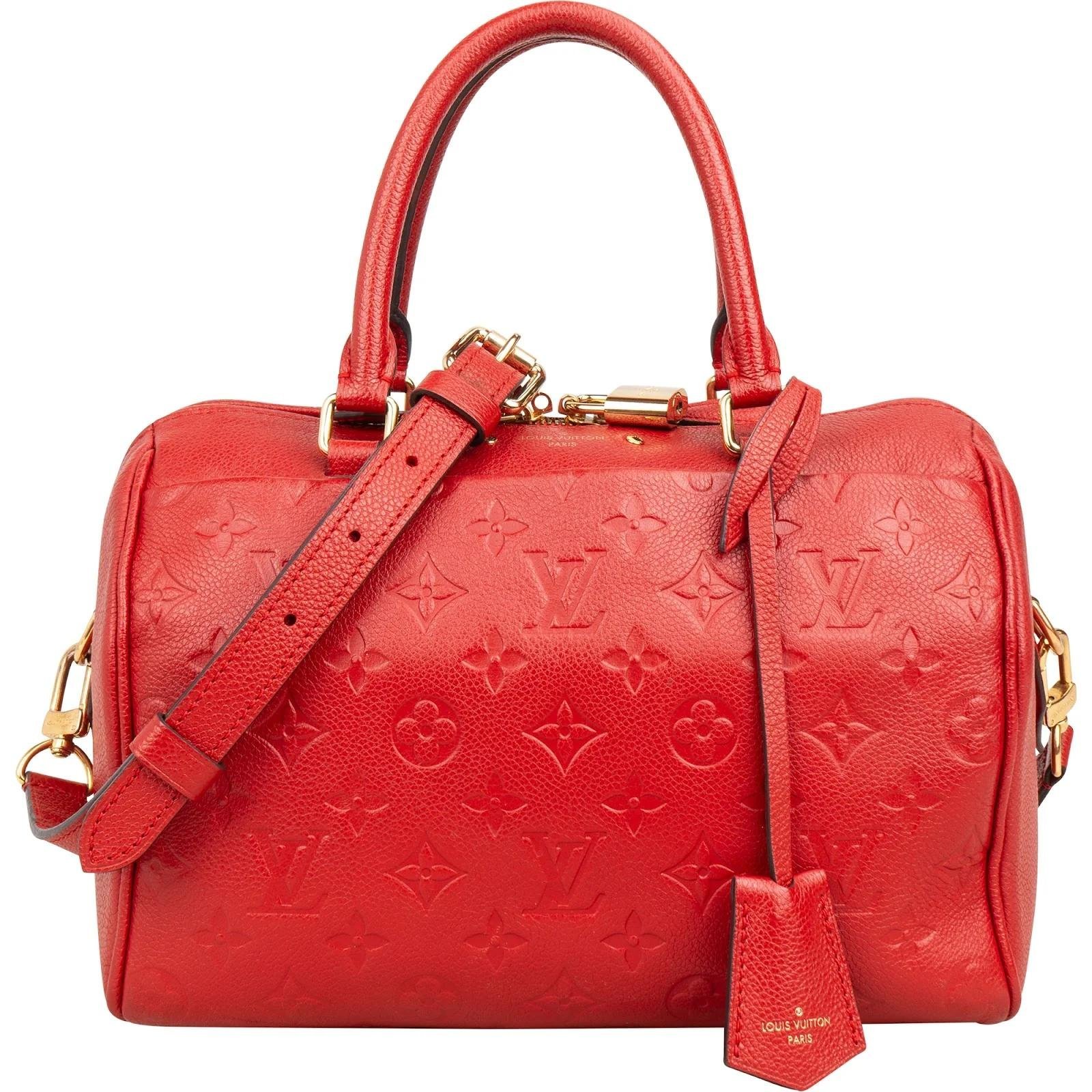 Louis Vuitton Speedy leather handbag