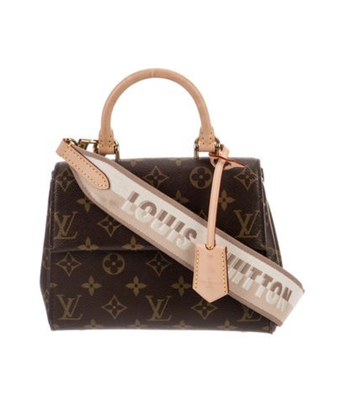 Louis Vuitton Vuitton Monogram Cluny Mini