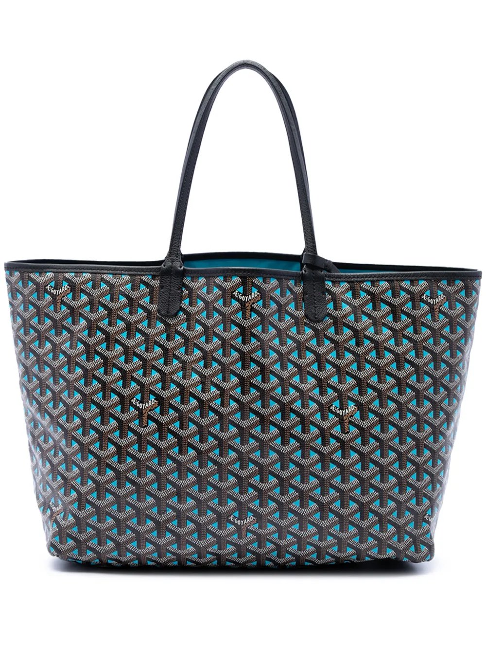2019 Goyardine Claire Voie Saint Louis PM tote bag
