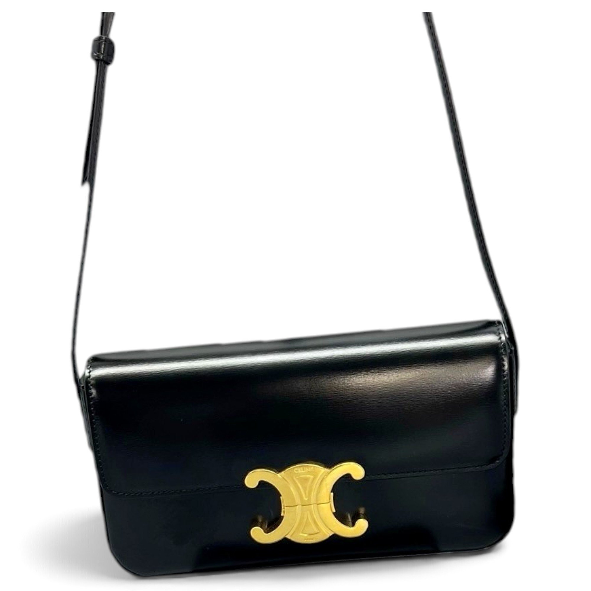 Triomphe Long leather handbag