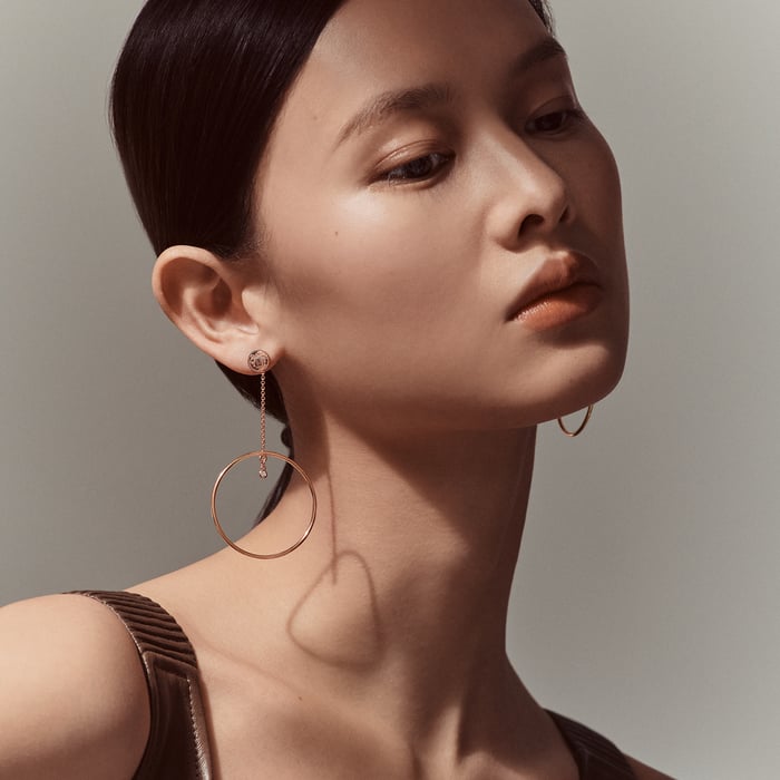 Sans Coloris Hermès Ex-libris Earrings
