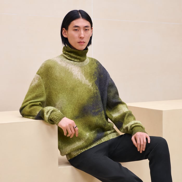 Anis "Reflets Equestres" Turtleneck Sweater