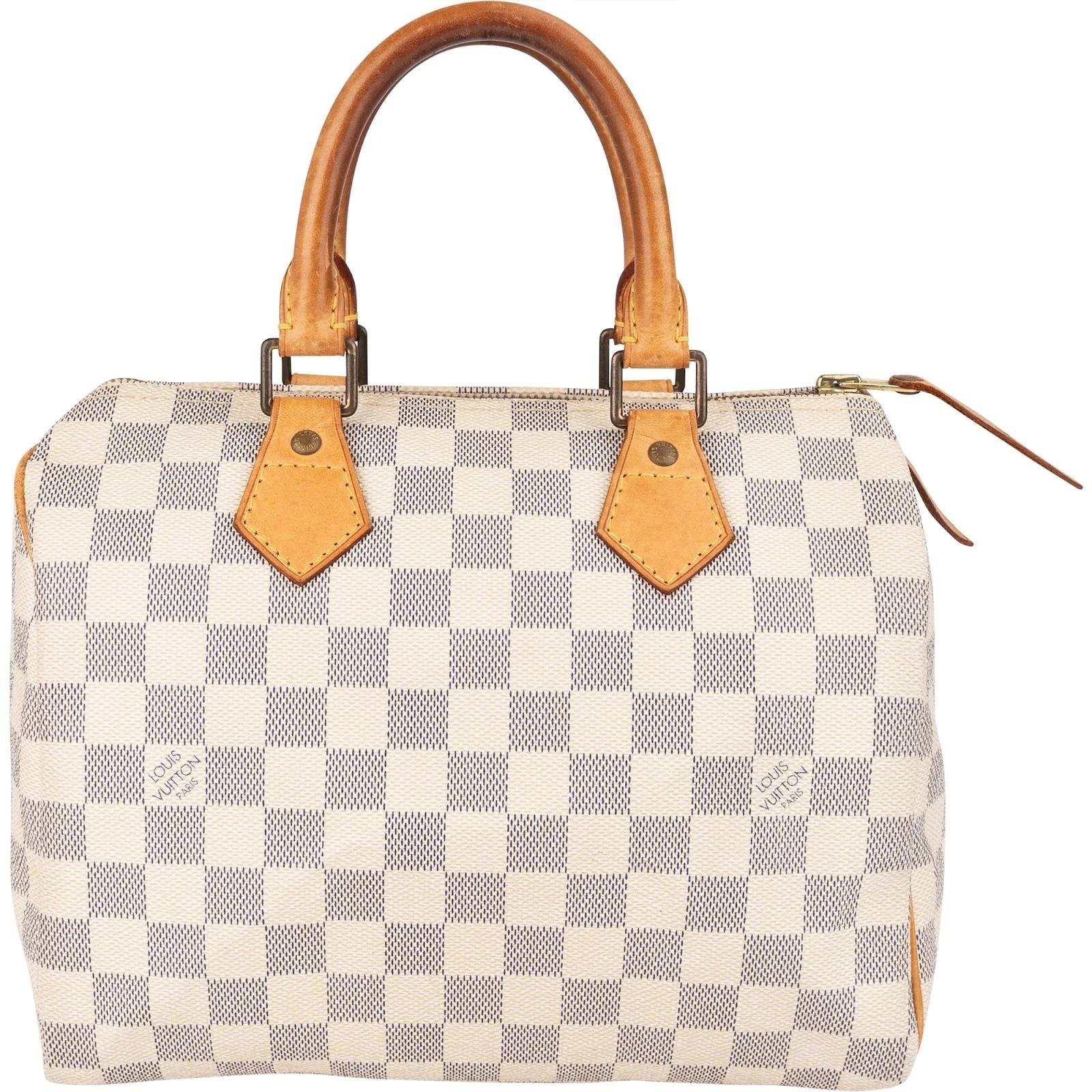 Speedy leather bag