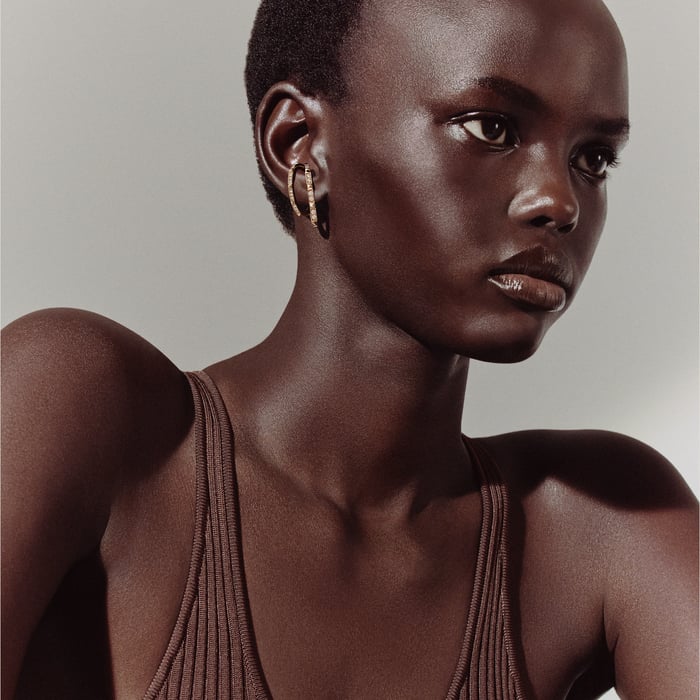 Sans Coloris Hermès Clou d'H Dangle Earrings, Large Model