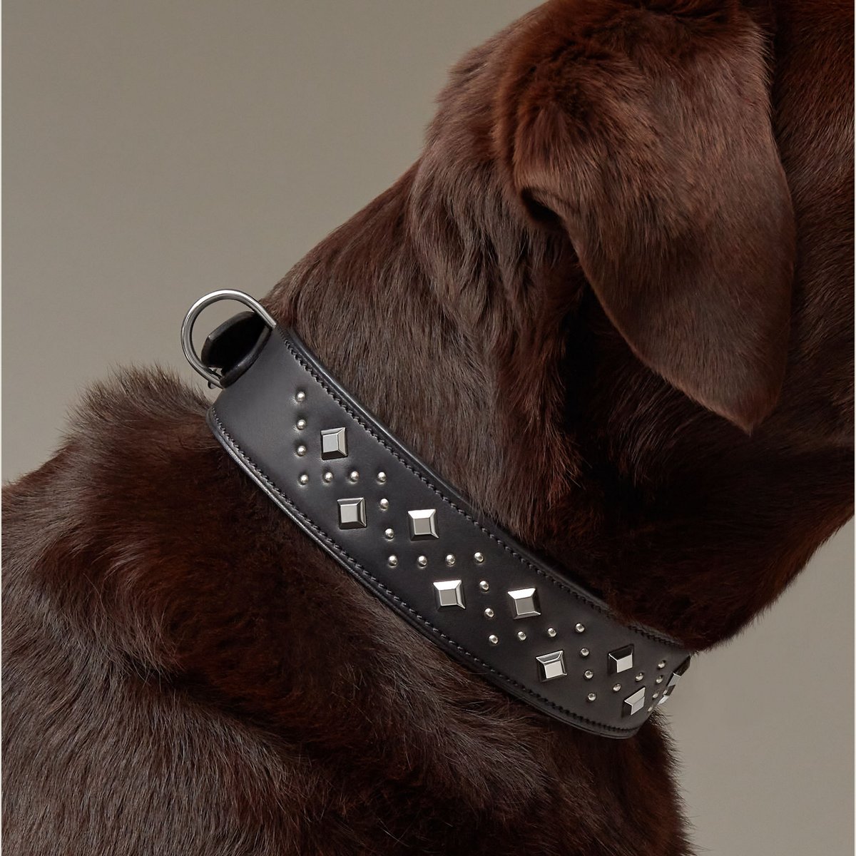 Noir Punch Dog Collar