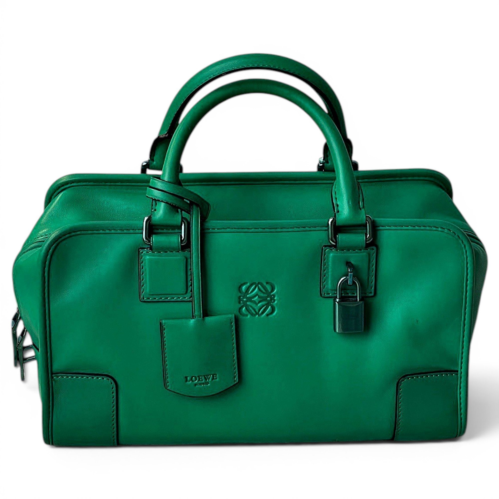 Amazona leather handbag