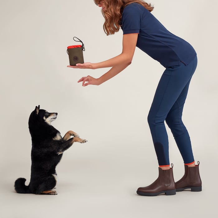 On-the-go Dog Pouch