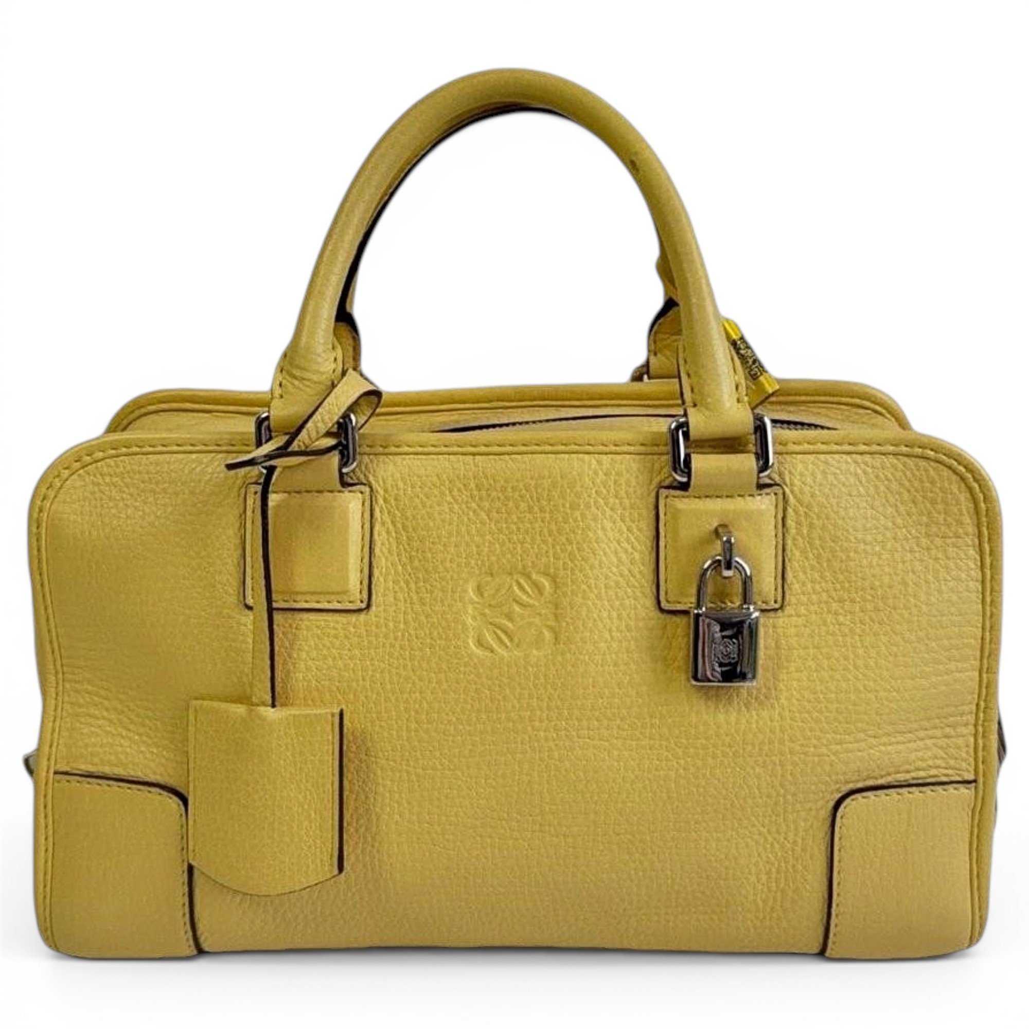 Amazona leather handbag
