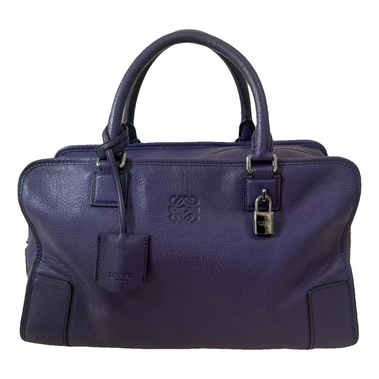 Amazona leather handbag