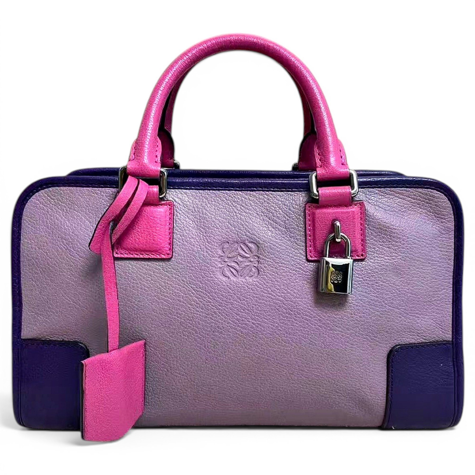 Amazona leather handbag