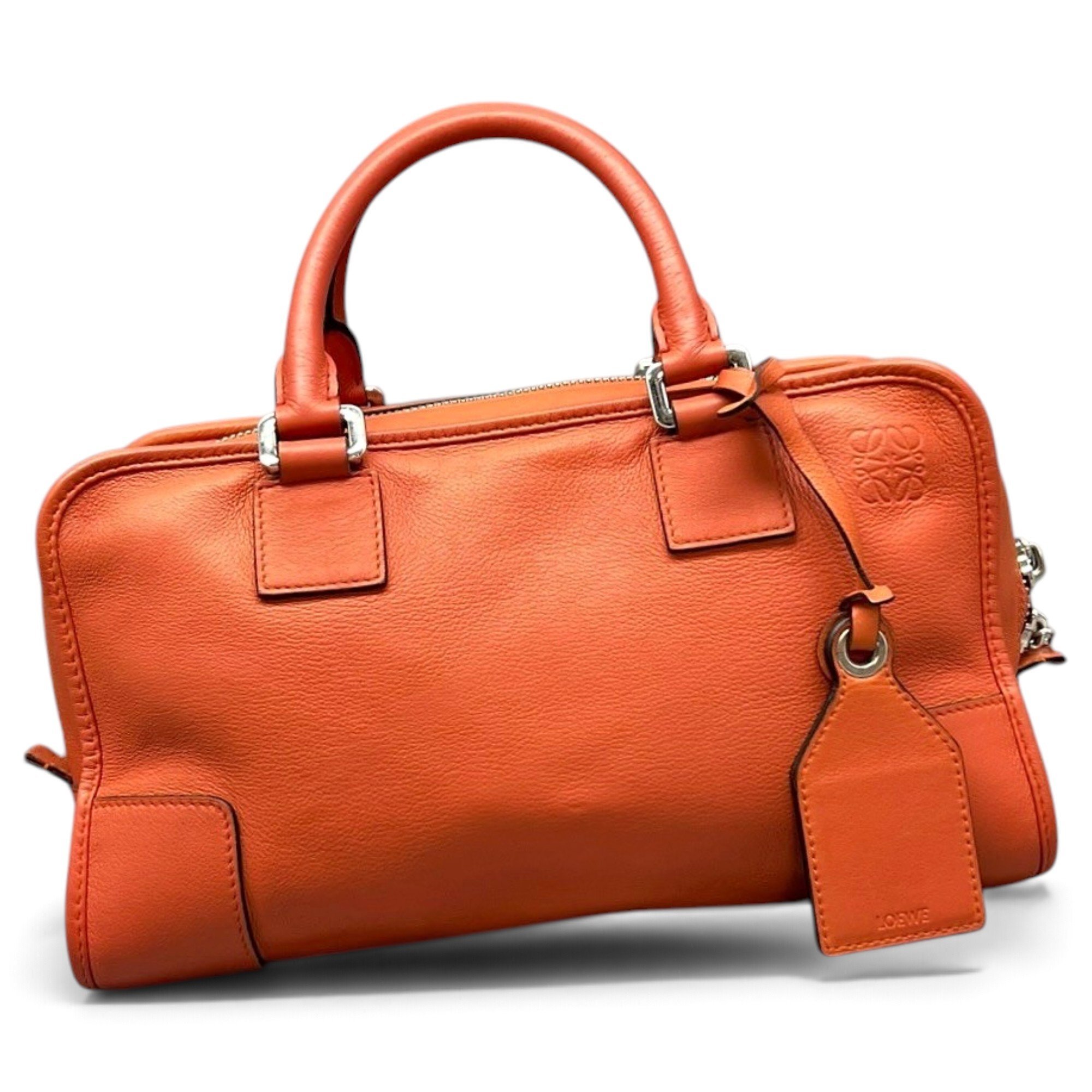 Amazona leather handbag