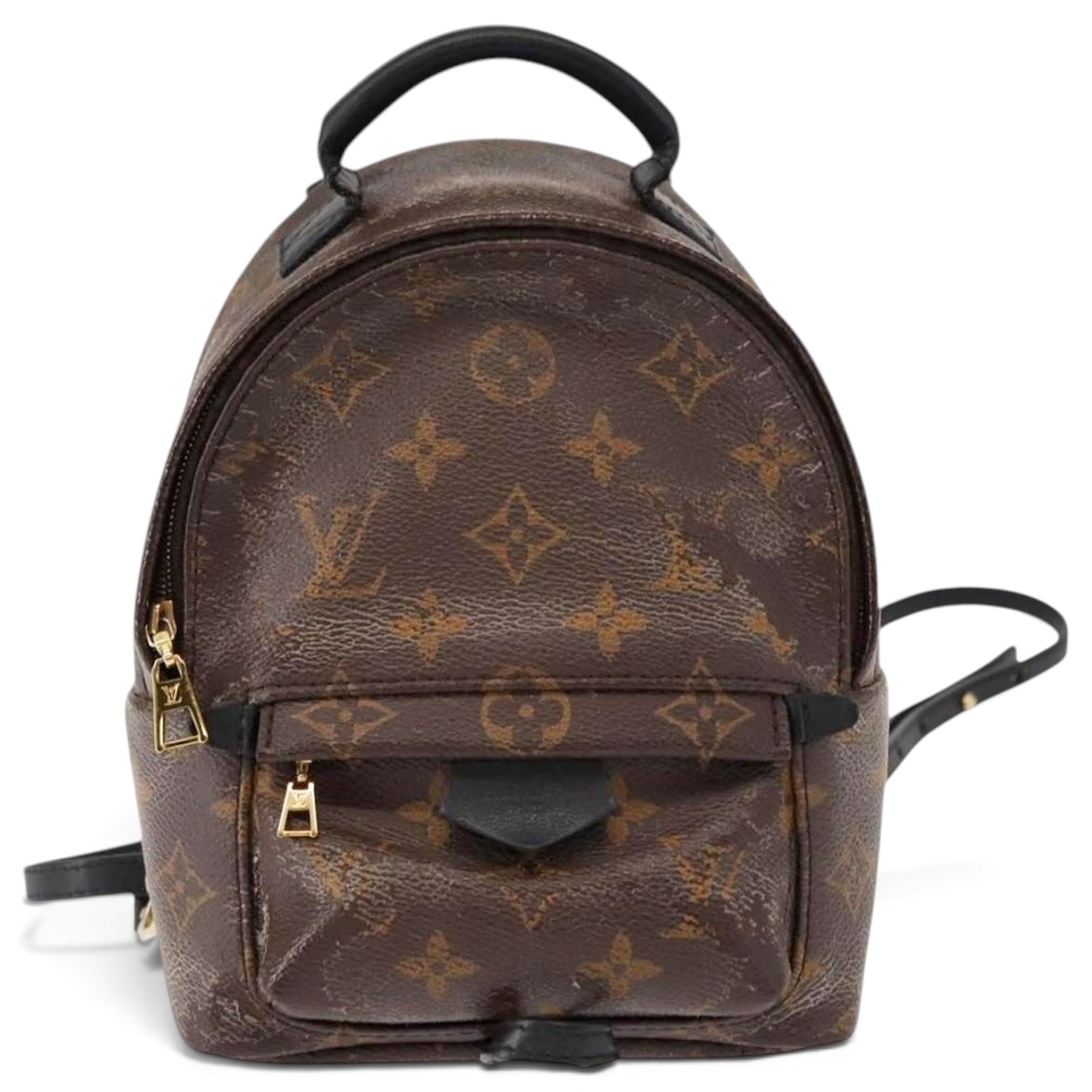 Palm Springs leather backpack