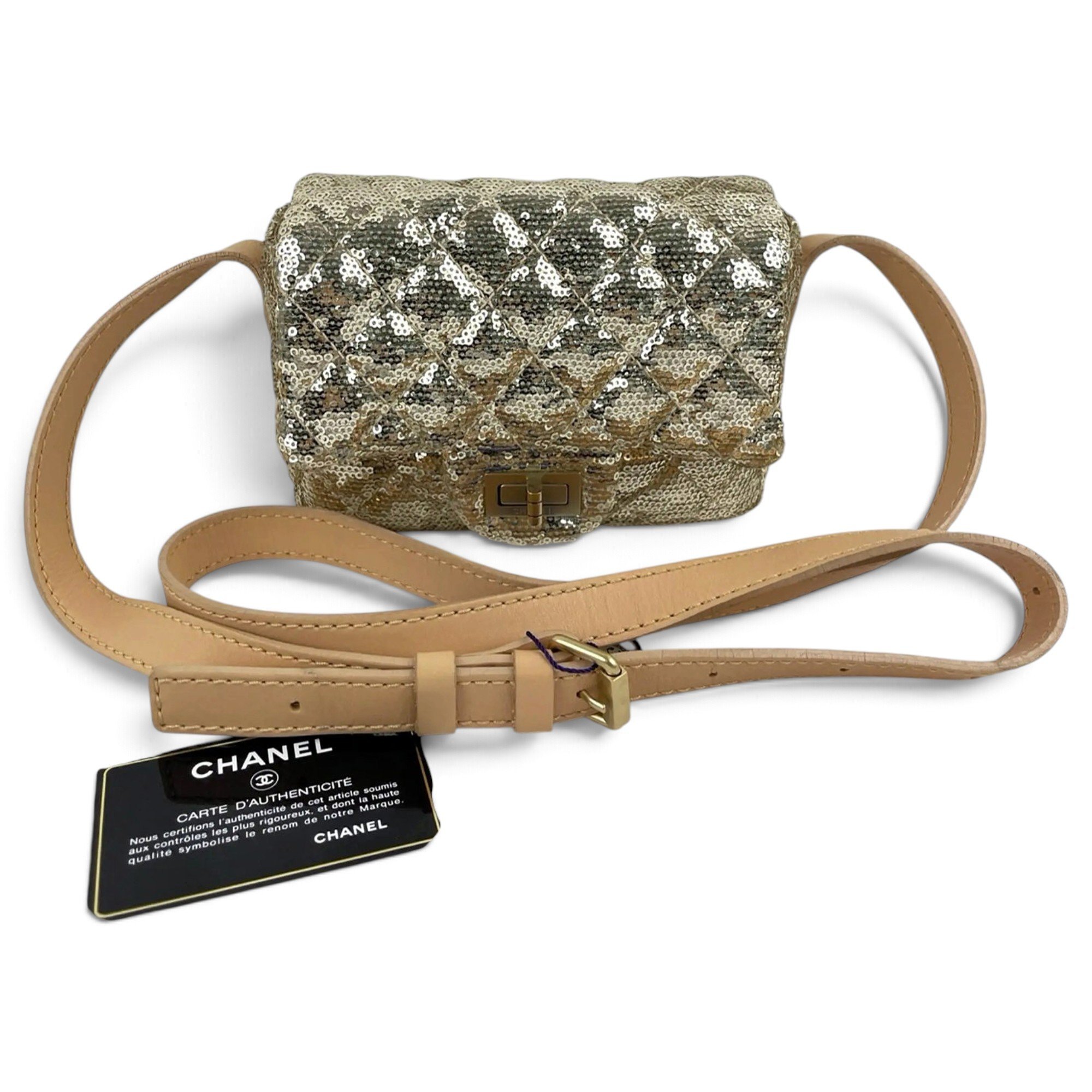 Wallet On Chain 2.55 glitter crossbody bag