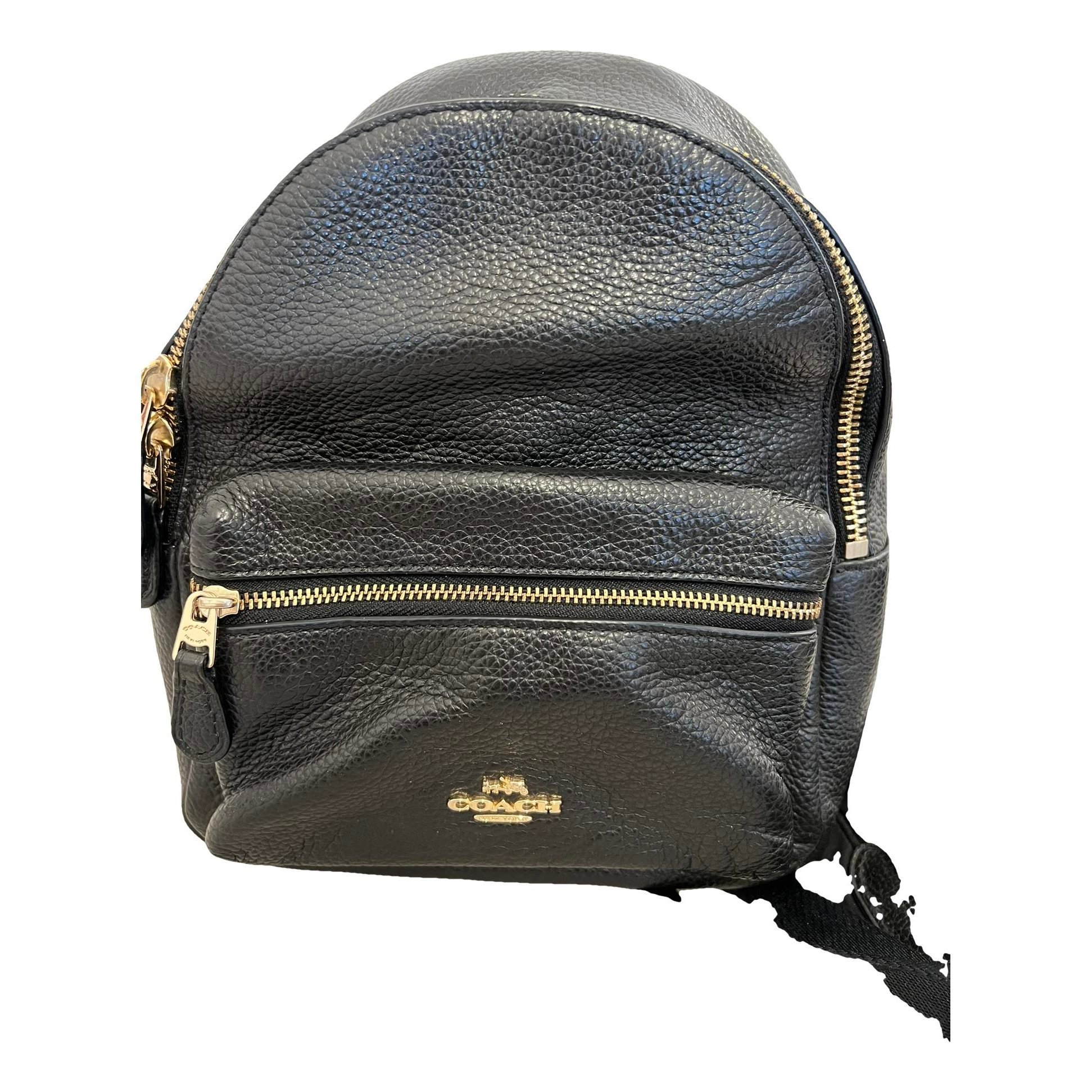 Campus leather backpack