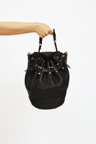 Alexander Wang Handbags - BagUSeek Alexander Wang Handbags - BagUSeek