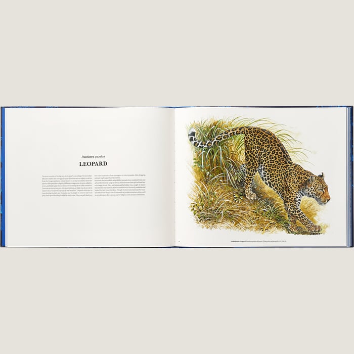 Neutre "Ferocious and Fragile" Book, English Version