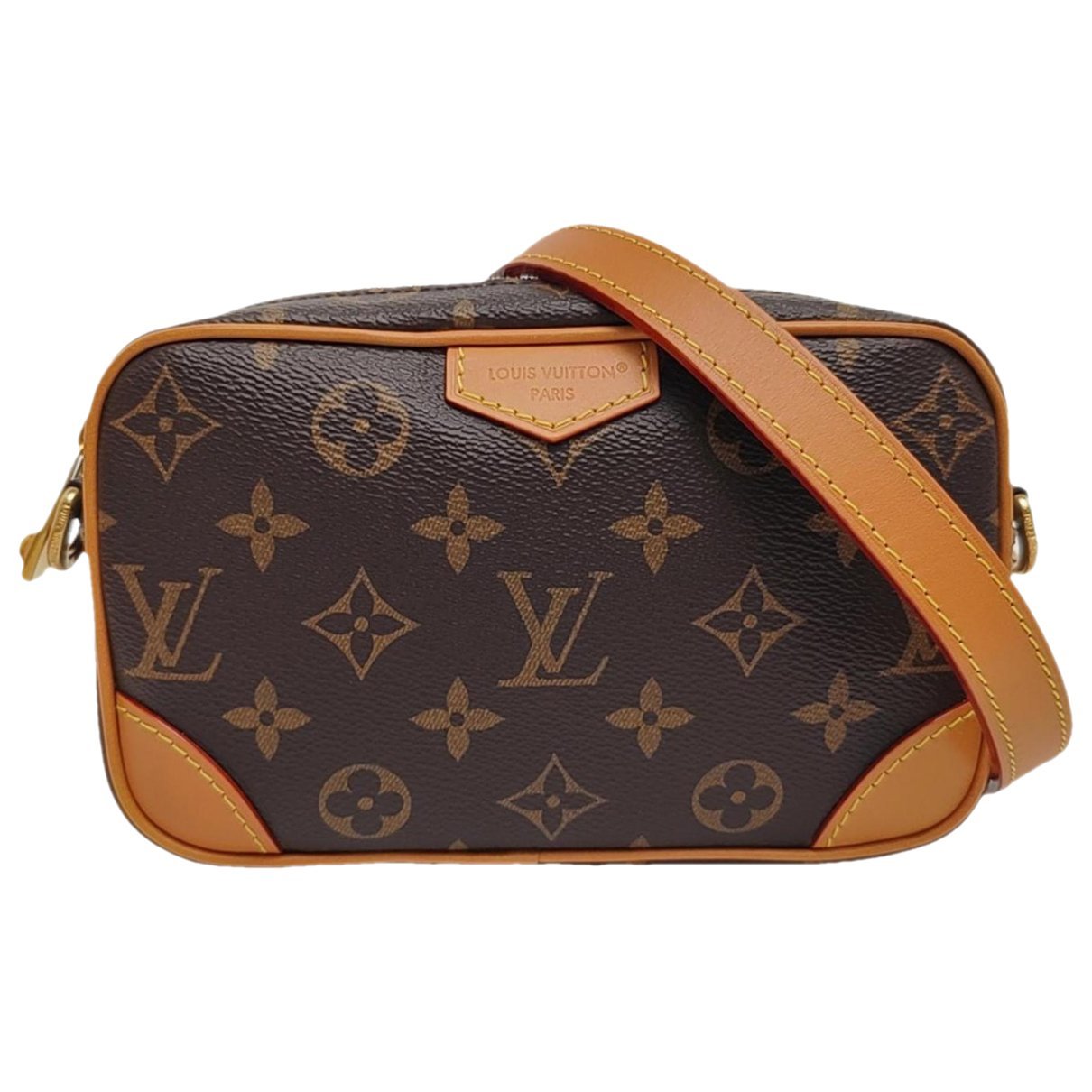 Marly Dragonne leather mini bag