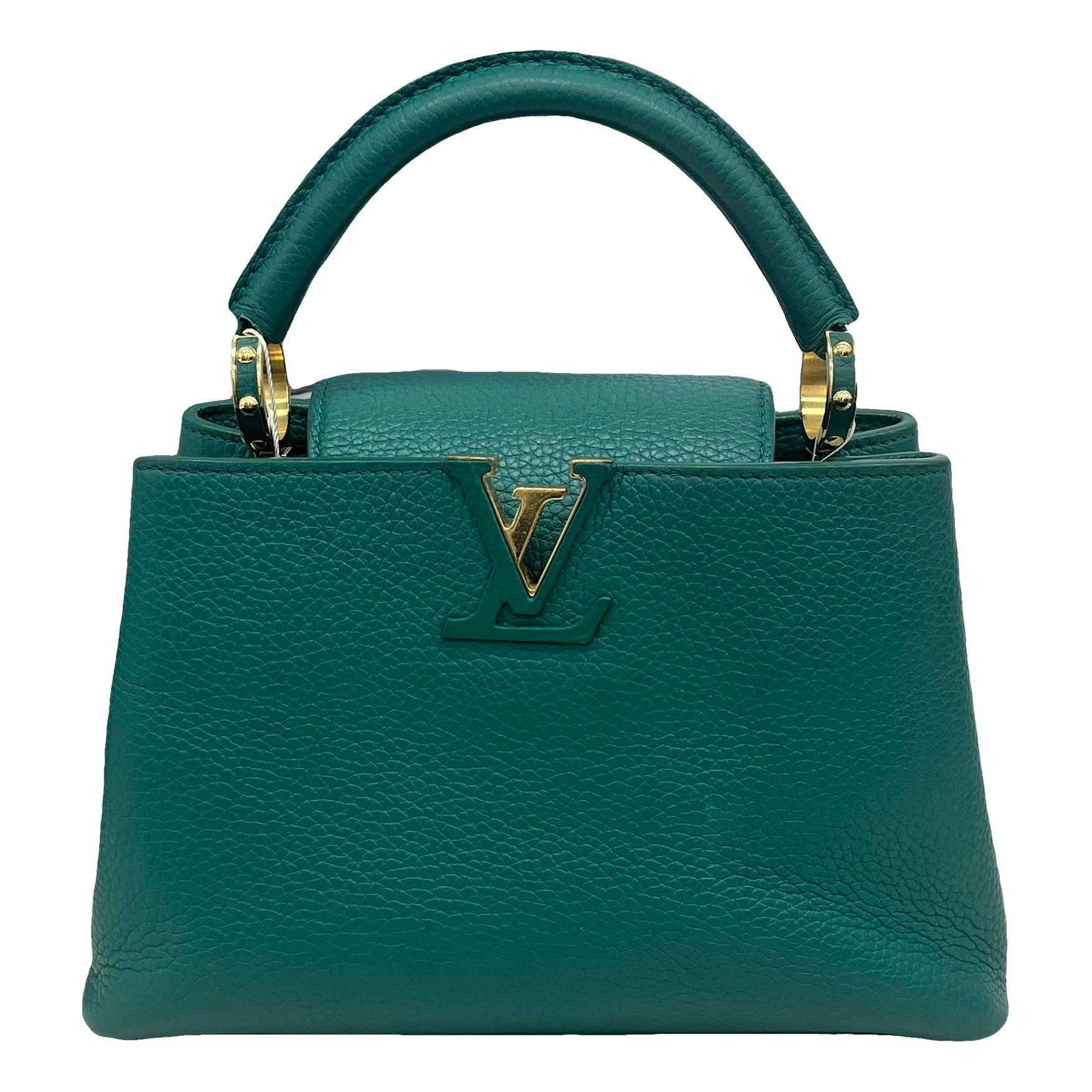 Capucines leather handbag