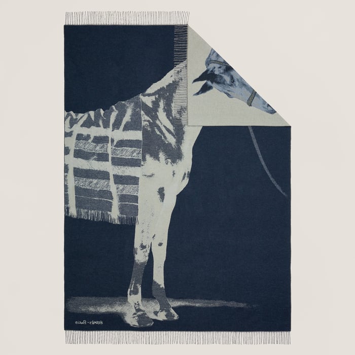 Encre Cheval Talaria Blanket