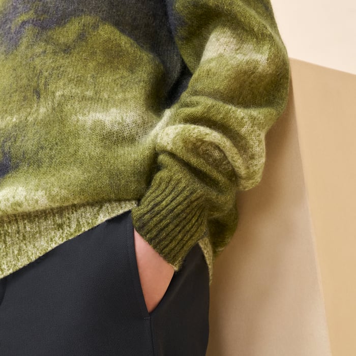 Anis "Reflets Equestres" Crewneck Sweater