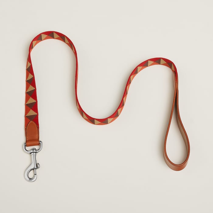 Dark Irish Medor Dog Leash
