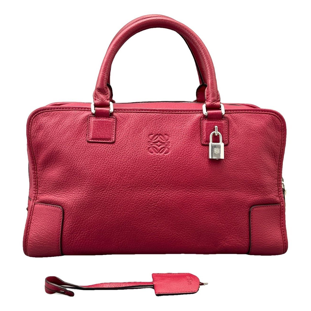 Amazona leather handbag