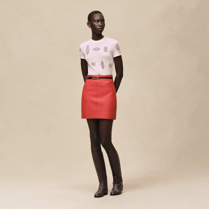 Rose Opaline "Ferronnerie" Short-sleeve Sweater
