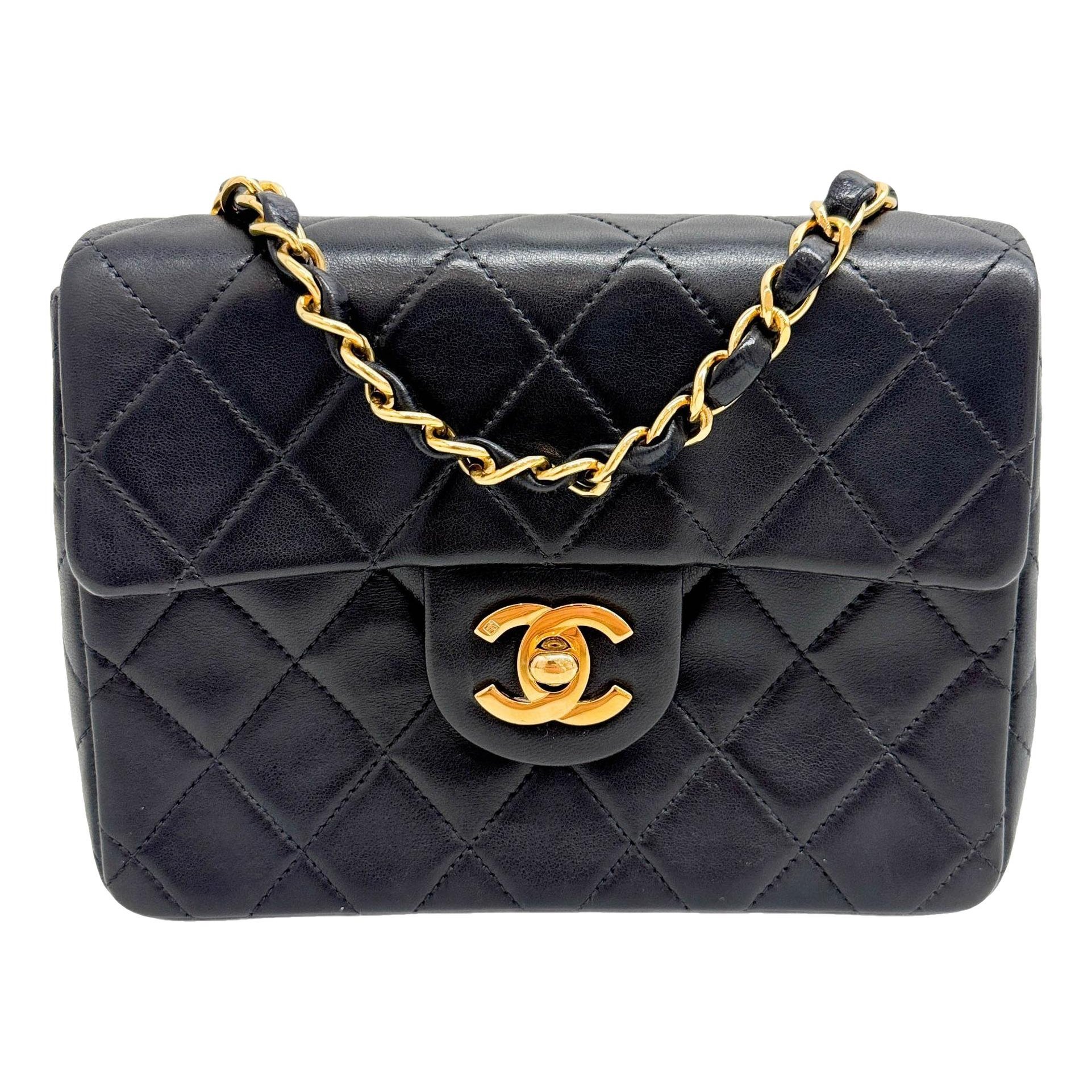 Timeless/Classique leather mini bag