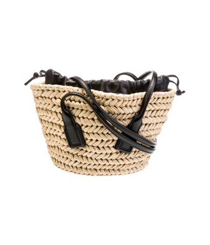 Bottega Veneta Veneta Raffia Arco Small