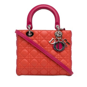 Leather Lady Dior Medium