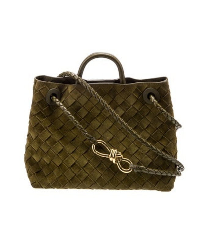 Bottega Veneta Veneta Suede Andiamo Small