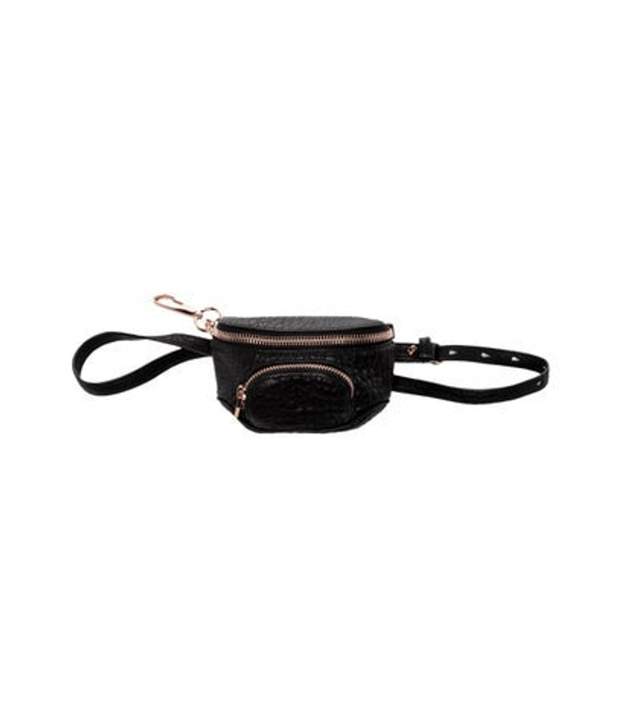 Alexander Wang Wang Leather Belt Bag