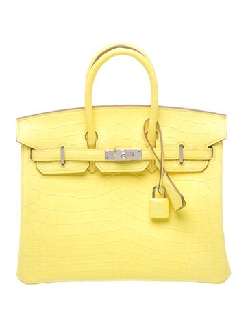 Hermes 2023 Matte Crocodile Niloticus Birkin 25