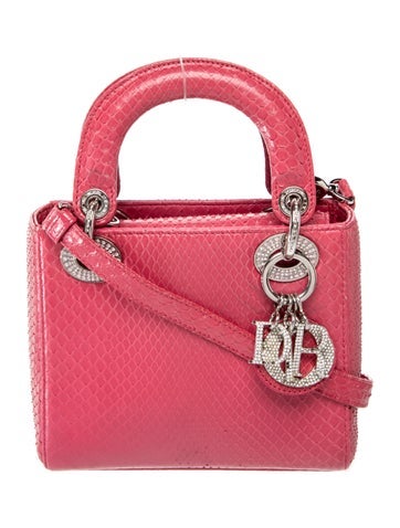 Python Lady Dior Mini