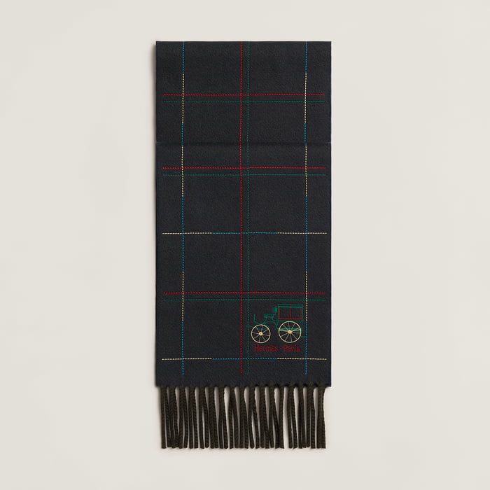 Bleu Brodee a Toute Berline ! Scarf