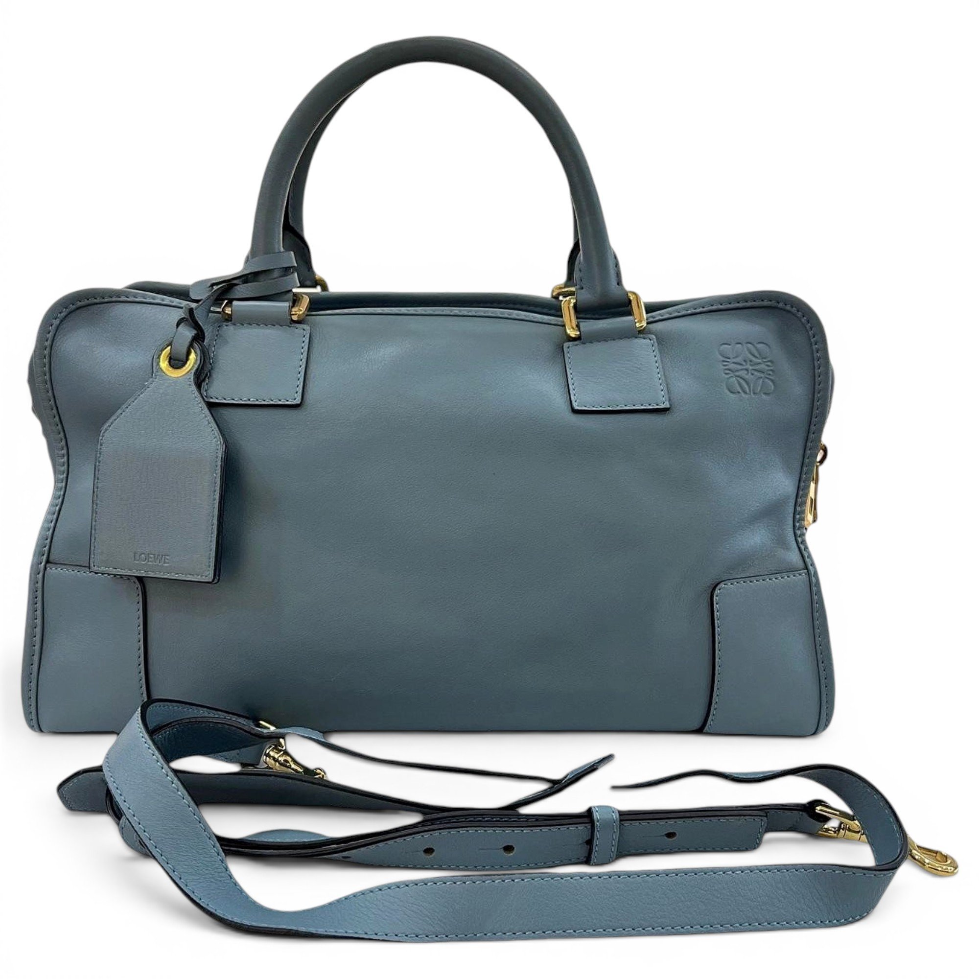 Amazona leather handbag