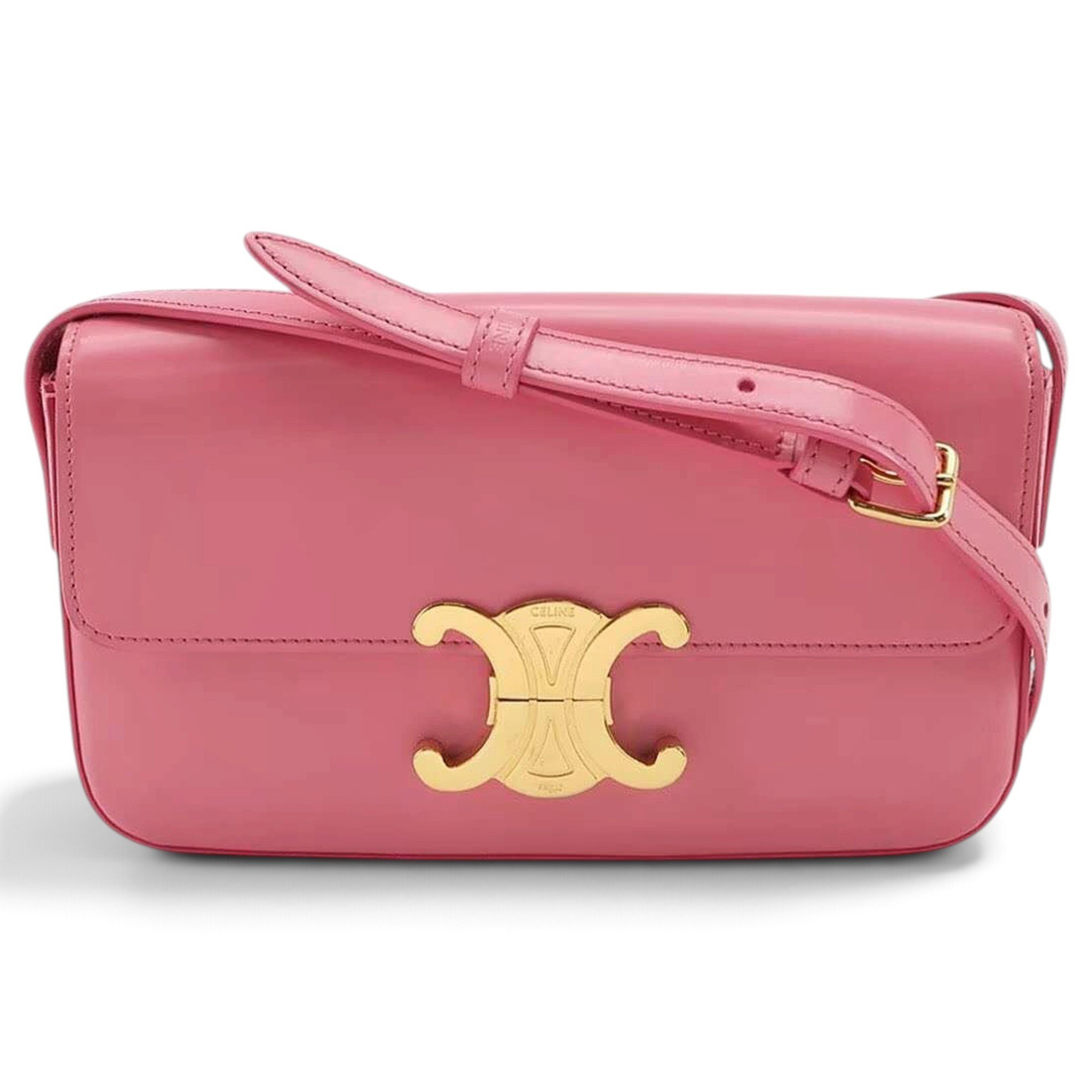 Triomphe Long leather handbag
