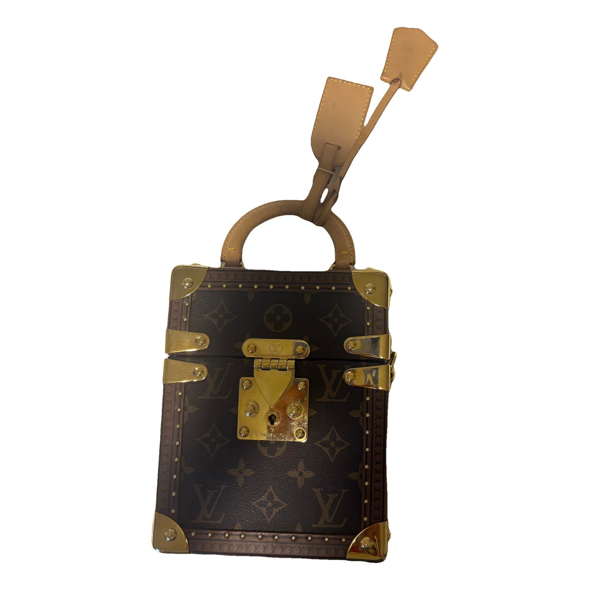 Camera Box leather handbag
