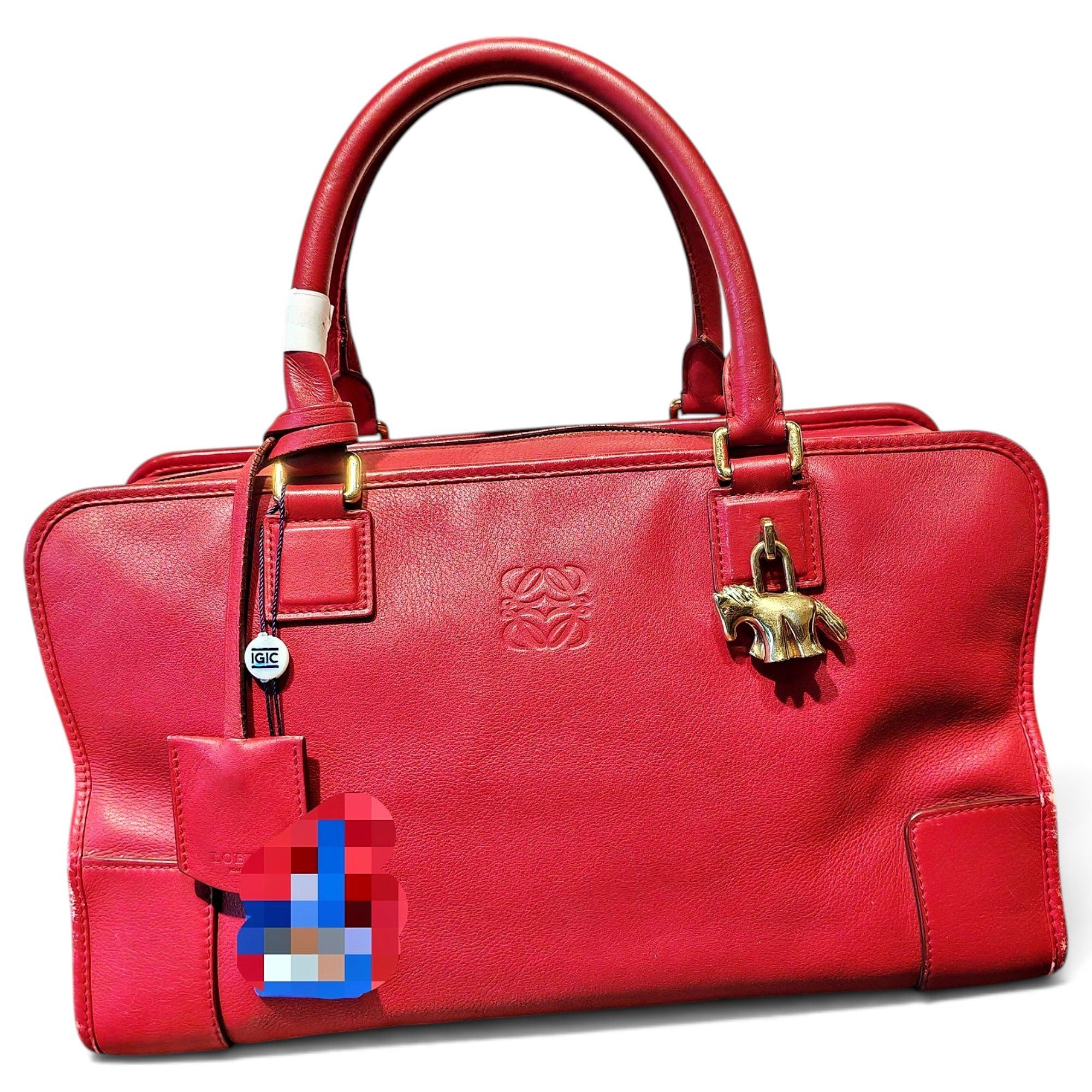 Amazona leather handbag
