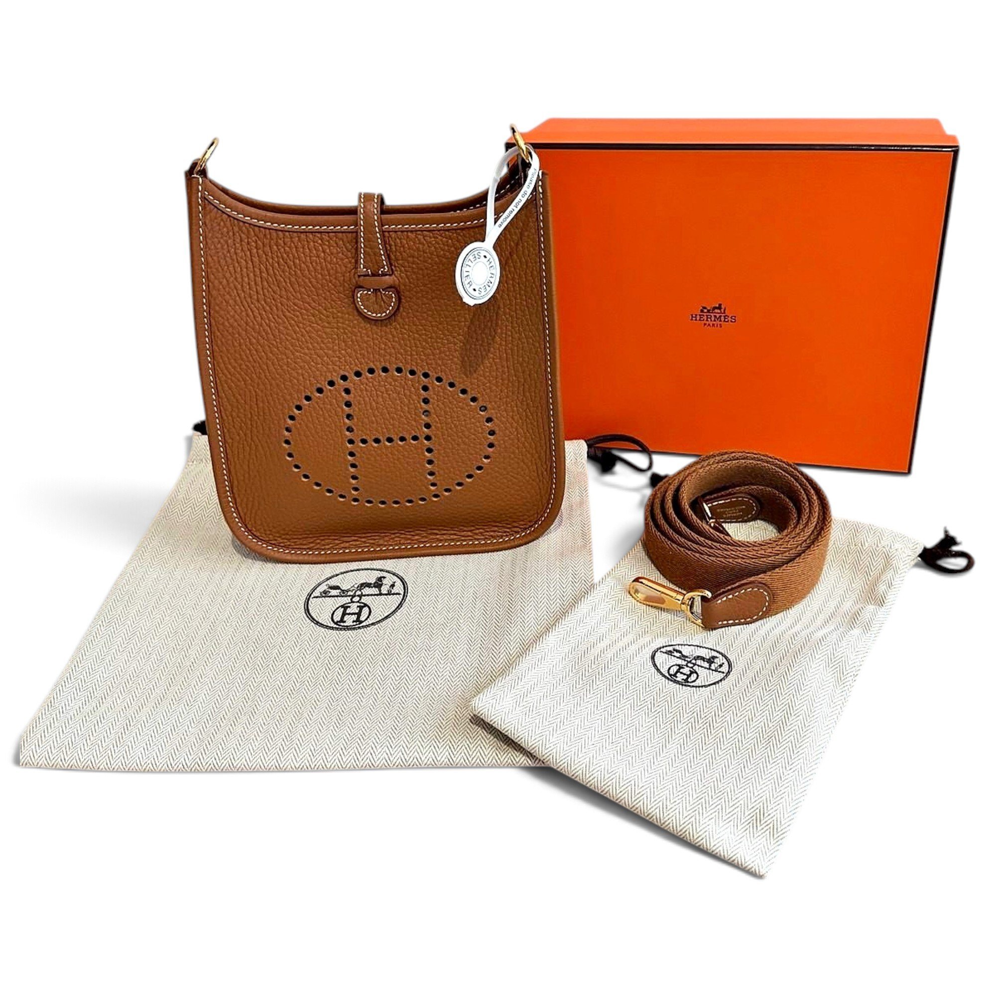 Mini Evelyne leather crossbody bag