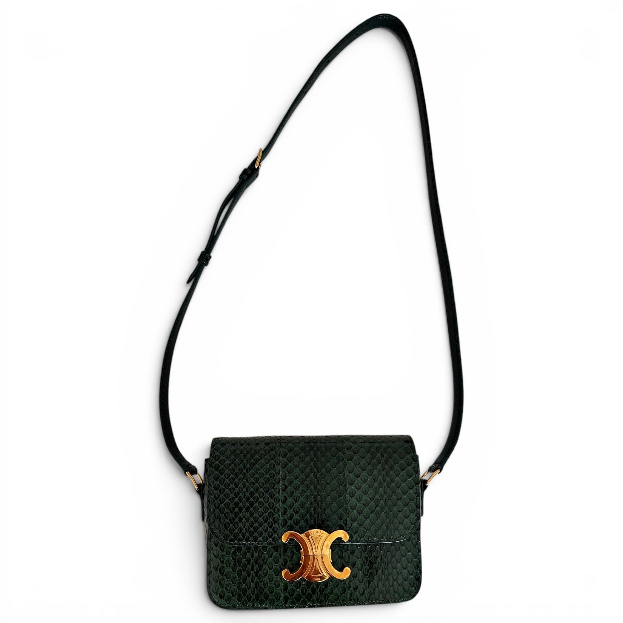 Triomphe leather handbag