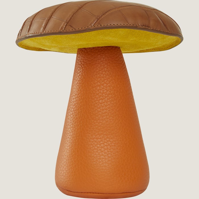 Random Mushroom Paperweight MM