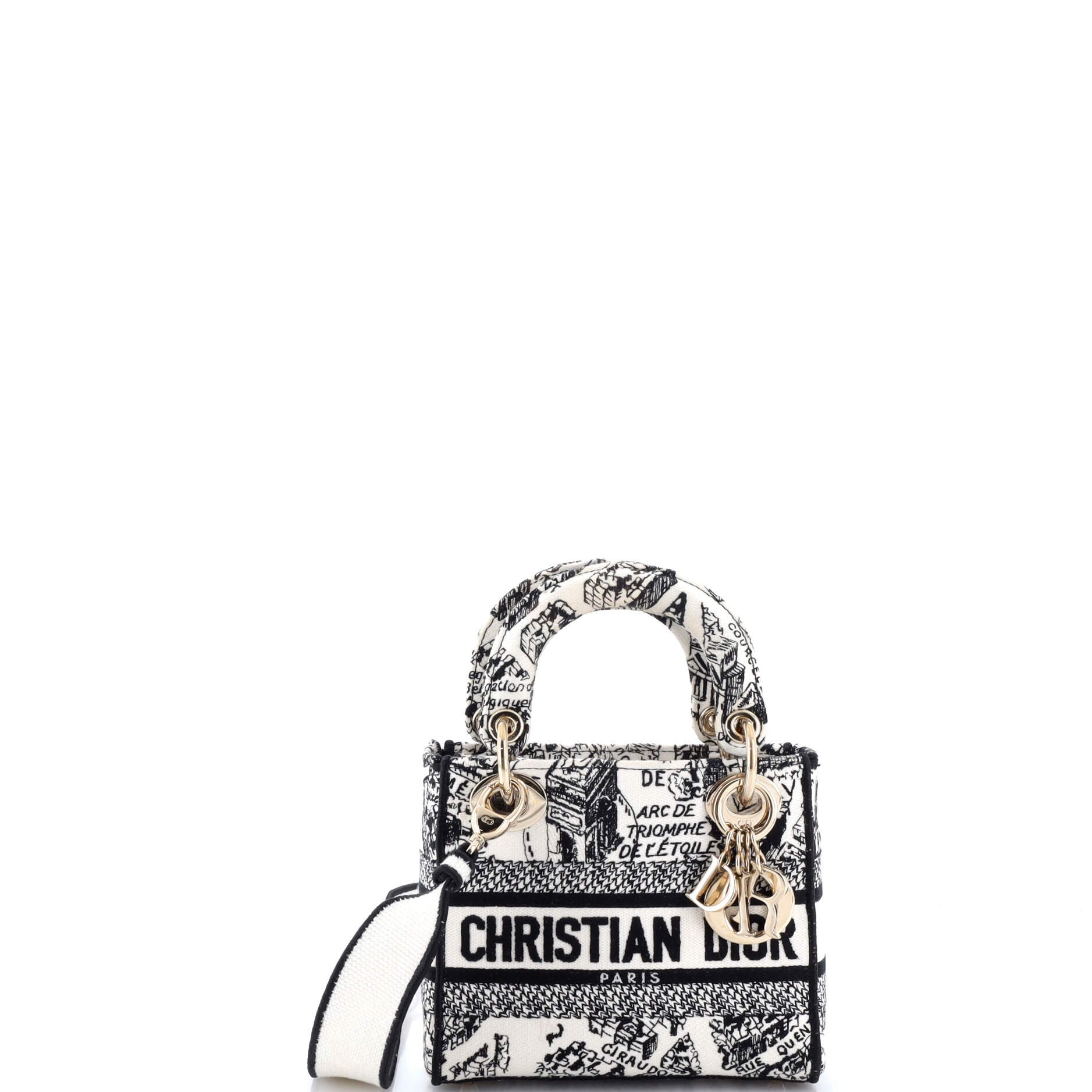 Lady D-Lite Bag Embroidered Canvas Mini